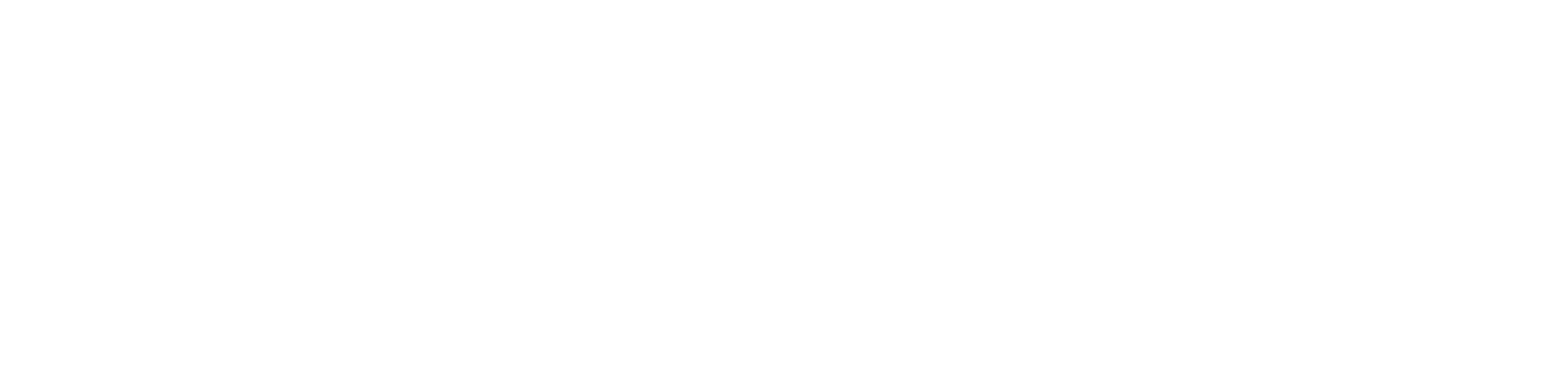 Tesche Tire Co., Ltd.
